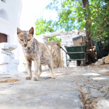 DSC_1570_0.jpg