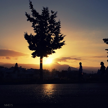 DSCF6295.jpg