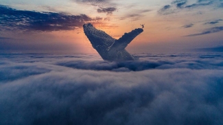 pytheas, ultima thule #1, whale, clouds, sky, man jumping
