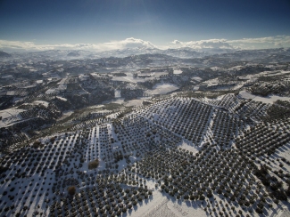 dji_0020.jpg