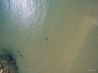 DJI_0076.jpg