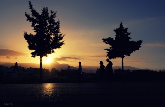 DSCF6295.jpg